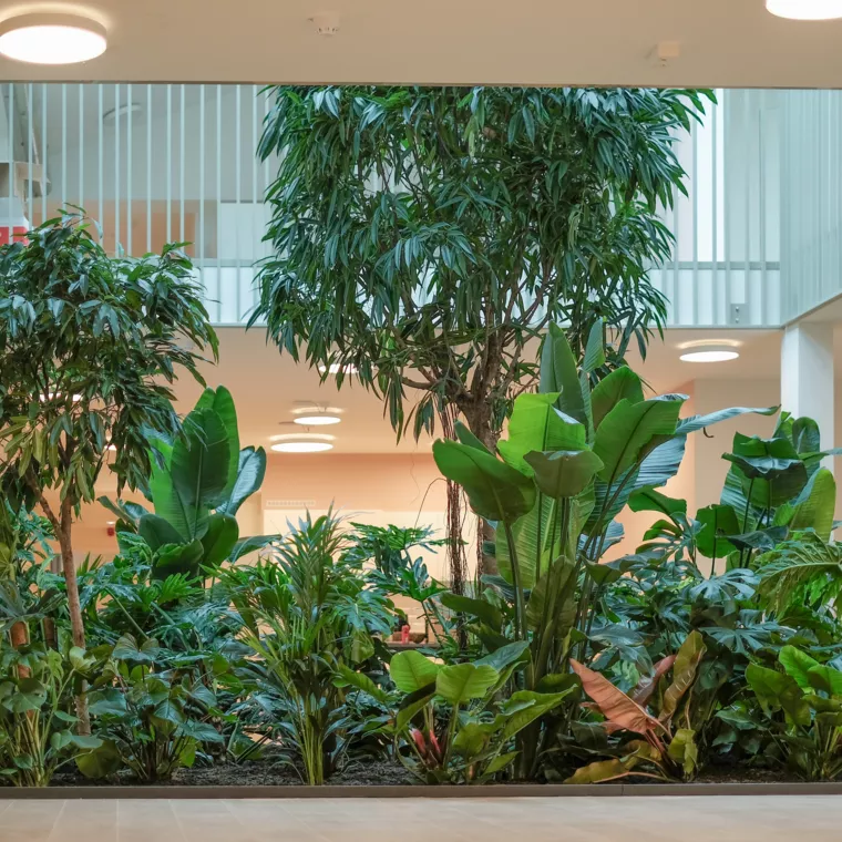 Patio portus -  - Portus